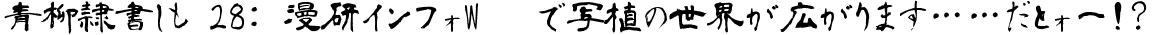 青柳隷書しも